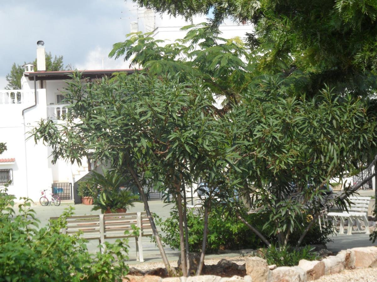 Azienda Agrituristica Masseria Campi San Vito dei Normanni Exterior photo